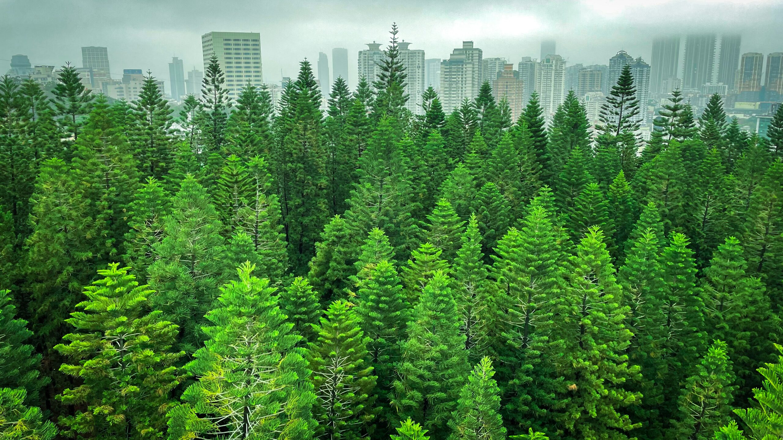 Protecting Your Home from Indoor Air Pollution: A Guide to Cleaner Air